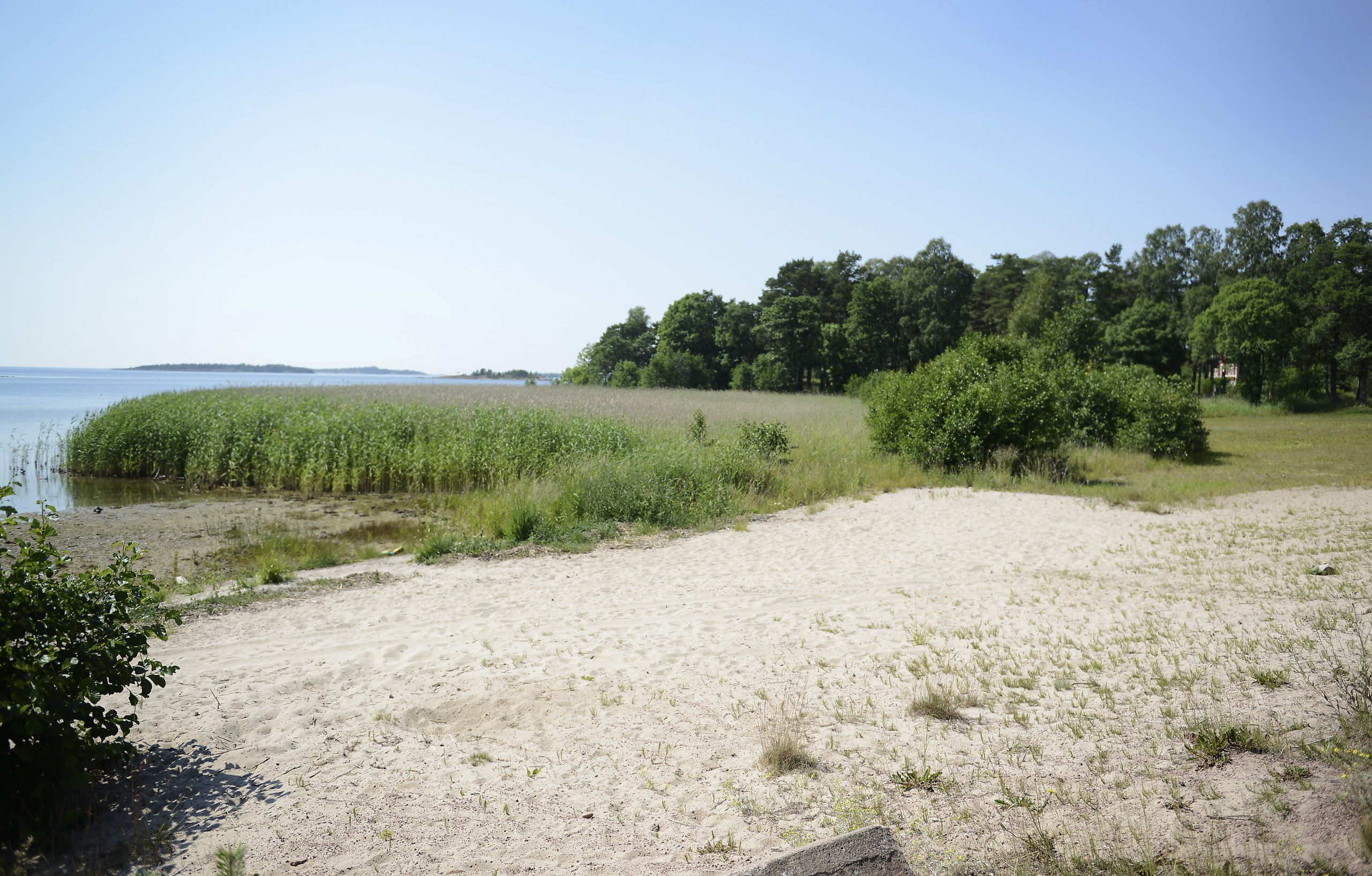 Vy över stranden.